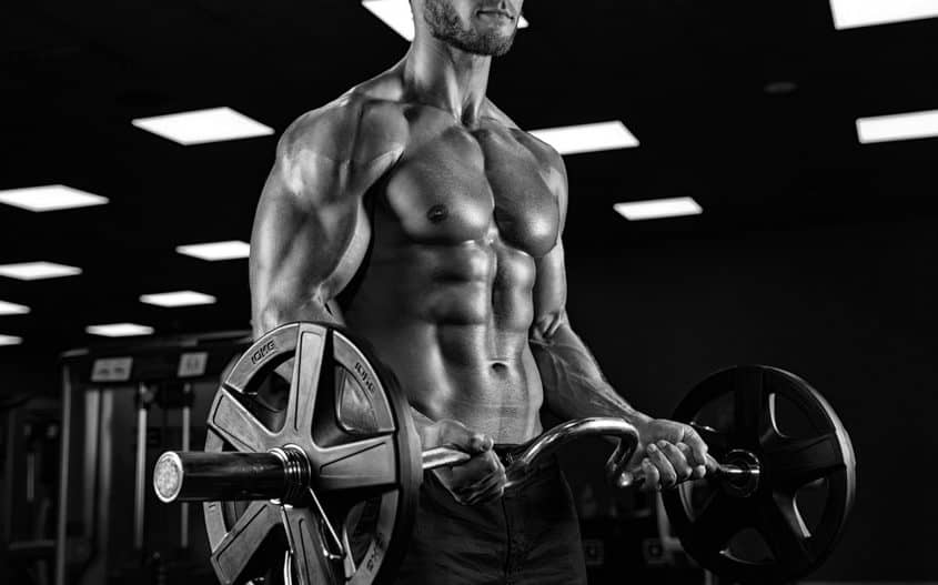 Muscle and Body Building Training
